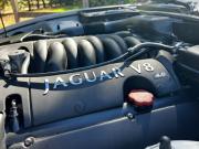 image_51-JAGUAR XK8 Coupé 4.0 V8 294 - 2002