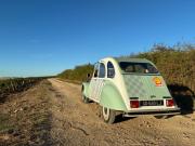 image_4-CITROEN 2CV 6 Club - 1986
