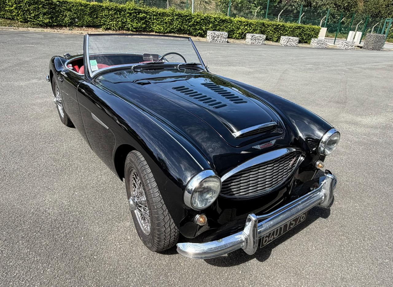 AUSTIN HEALEY 3000 BN7 - 1960 LesAnciennes.com