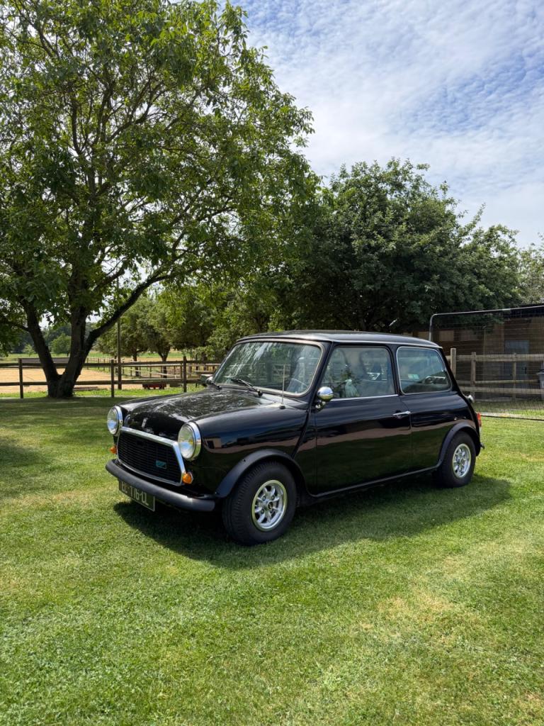 MINI Mini - 1983 LesAnciennes.com