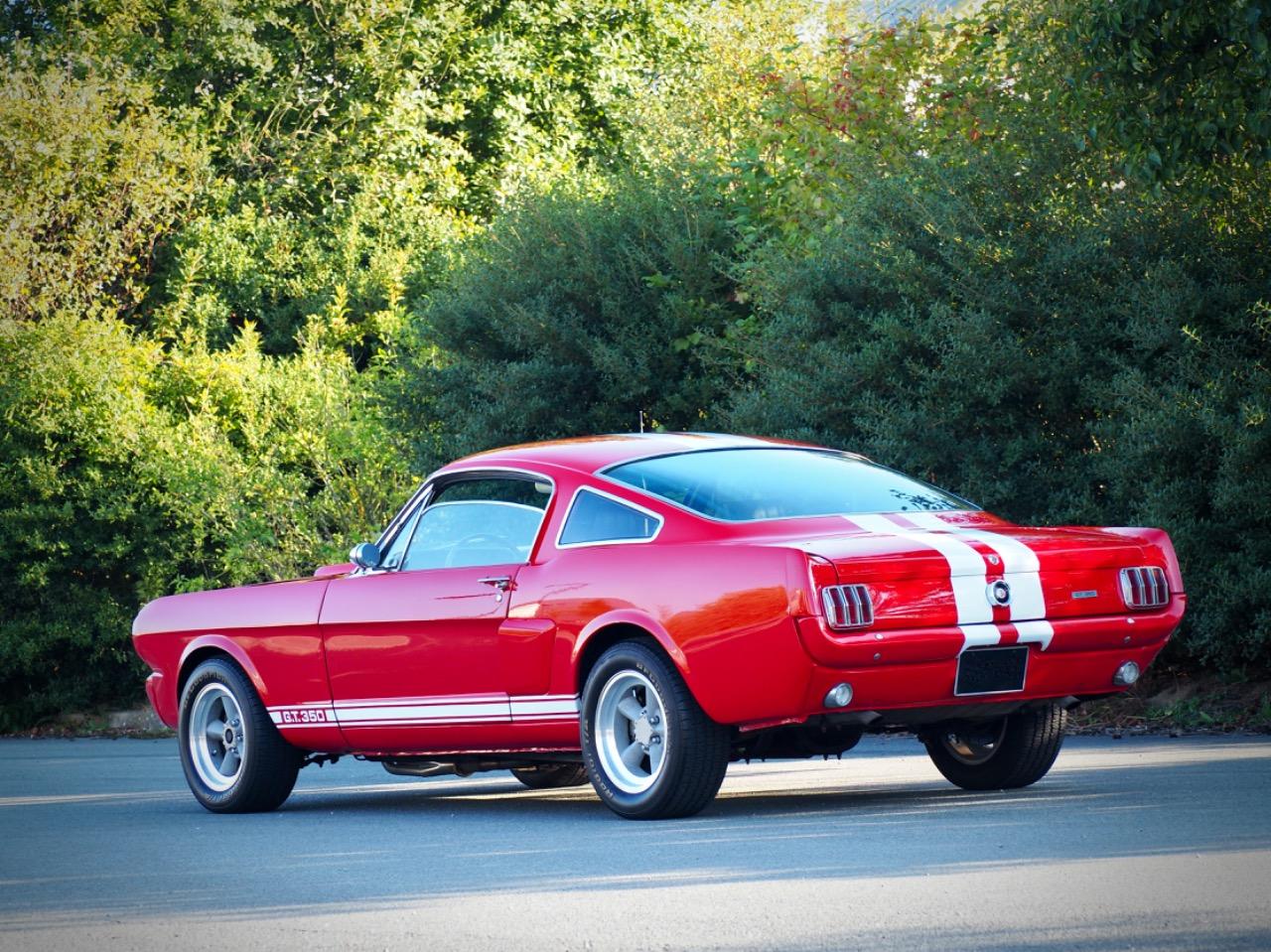 FORD Mustang GT.350 Evocation - 1965 LesAnciennes.com