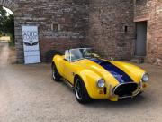 image_1-AC Cobra CMC V8 Ford 5 Litres - 1993