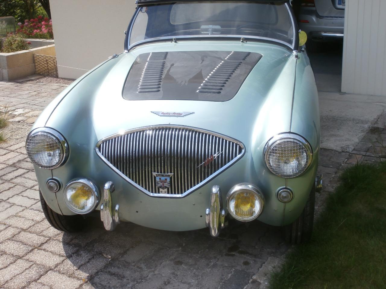 AUSTIN HEALEY 100 BN1 - 1955 LesAnciennes.com