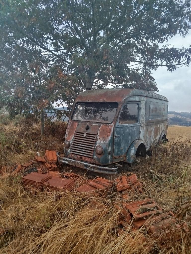 RENAULT Goelette - 1960 LesAnciennes.com