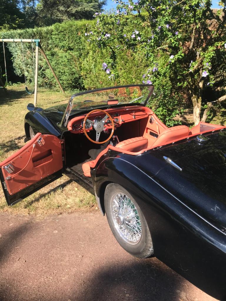 1955 Triumph TR2, foto 2