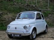 image_0-FIAT 500 500 L - 1969
