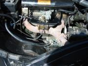 image_8-CITROEN Traction 11 BL - 1955
