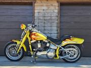 image_1-HARLEY DAVIDSON SPRINGER CVO 110 CI SCREAMINEAGLE - 2009