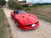 image_0-CHEVROLET Corvette C3 Greenwood Daytona - 1979
