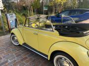 image_6-VOLKSWAGEN Coccinelle - 1972