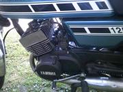 image_6-YAMAHA RD 125 RDX - 1978