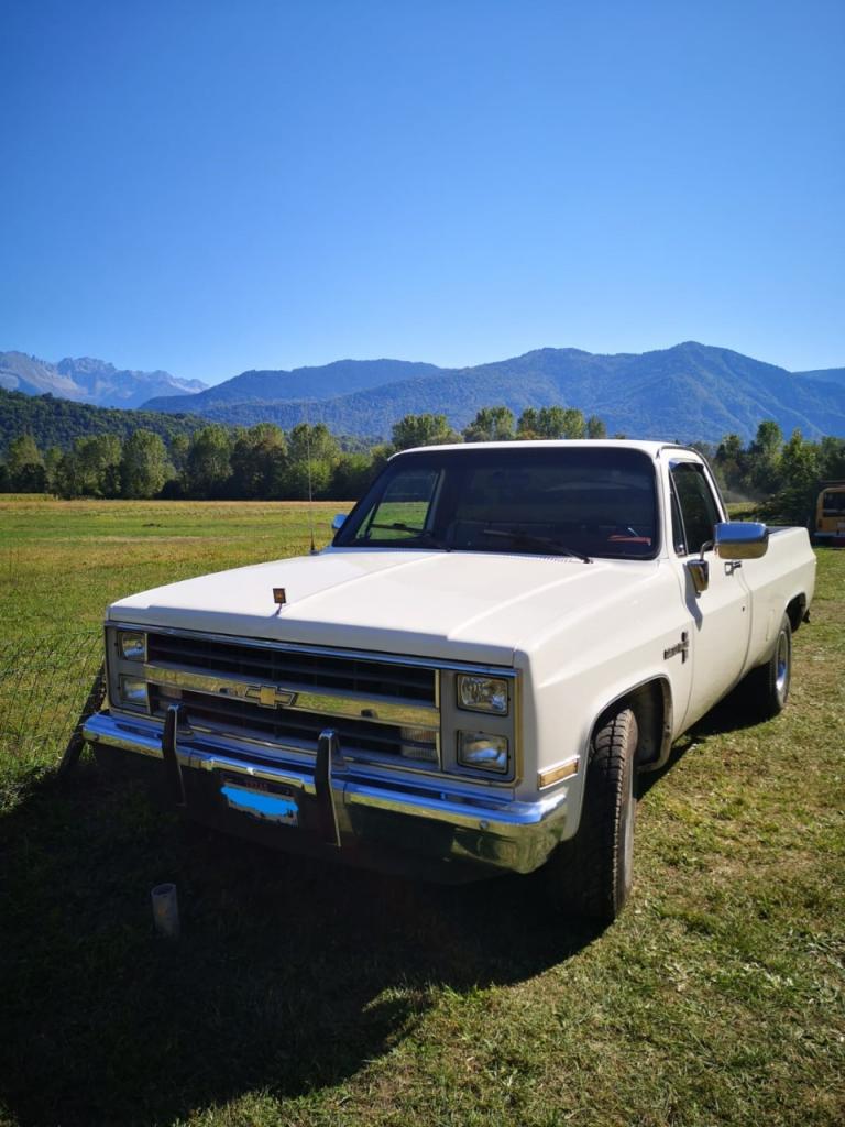 CHEVROLET C10 scotdall deluxe - 1987 LesAnciennes.com
