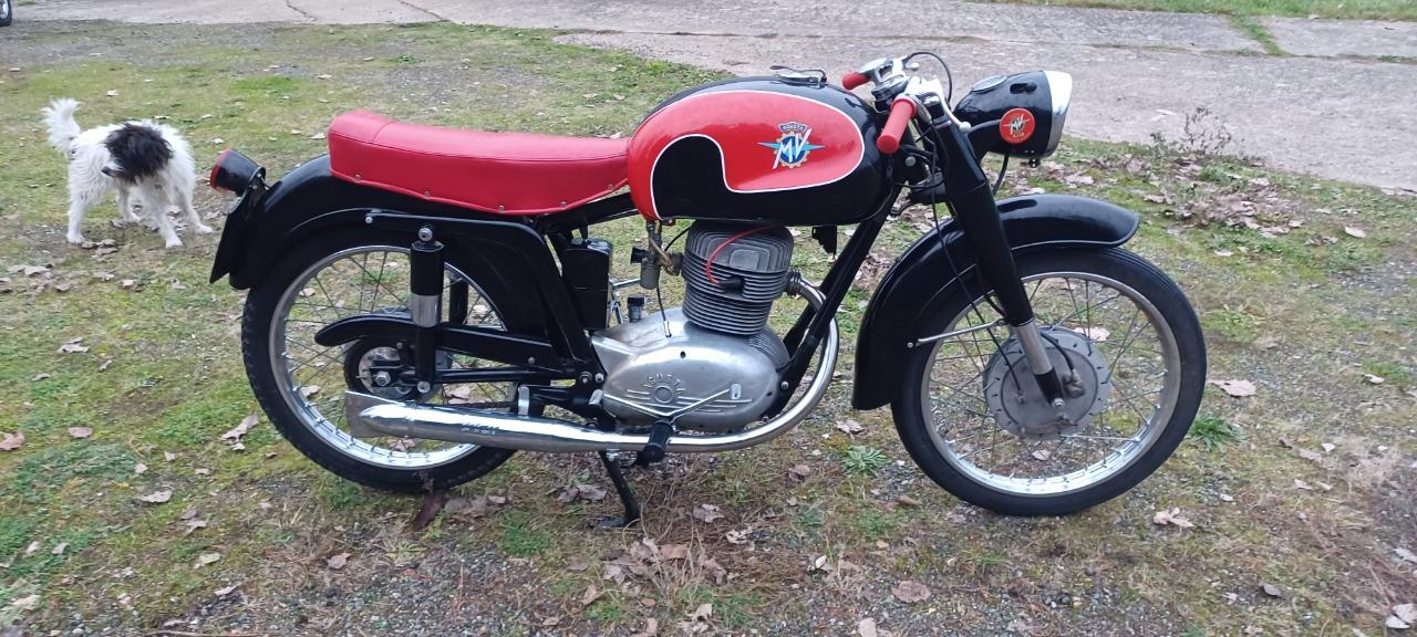 MV AGUSTA 175 CSTL TURISMO LUSSO - 1955 LesAnciennes.com