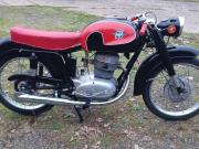 image_0-MV AGUSTA 175 CSTL TURISMO LUSSO - 1955