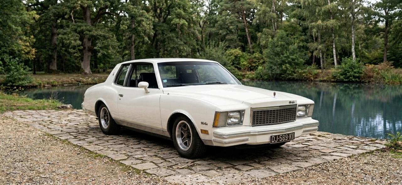 1981 Chevrolet Monte Carlo 305CI V8 LesAnciennes.com