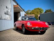 image_2-ALFA ROMEO Spider 2000 Coda Tronca - 1976