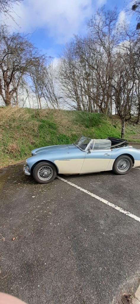 AUSTIN HEALEY 3000 - 1967 LesAnciennes.com