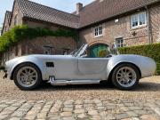 image_1-AC Cobra Shell Valley replica - 1965