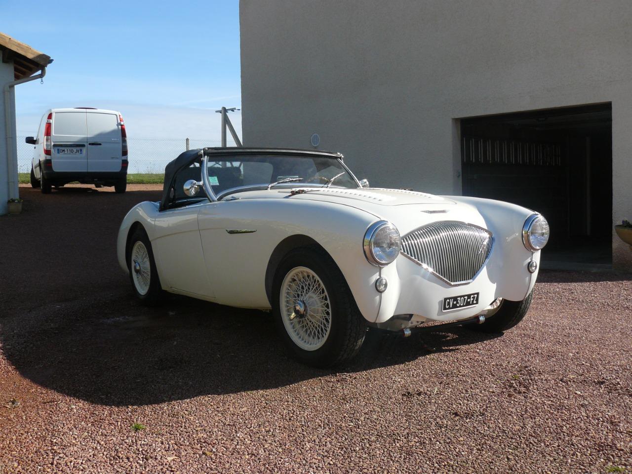 AUSTIN HEALEY 100 BN1 - 1954 LesAnciennes.com