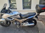 image_5-YAMAHA TDM 900 - 2004