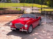 image_0-AUSTIN HEALEY 100 BN1 - 1955