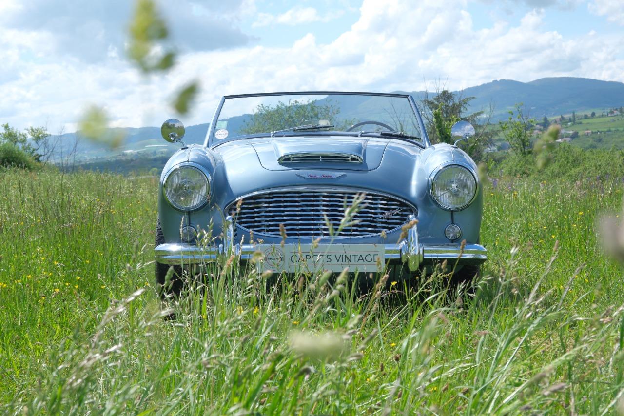 AUSTIN HEALEY 100 BN4 - 1959 LesAnciennes.com