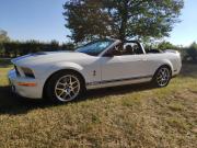 image_0-FORD Mustang Shelby GT 500 - 2007