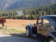 image_3-CITROEN Traction 11 BL - 1948