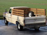 image_1-FORD F-100 Pick-up - 1967