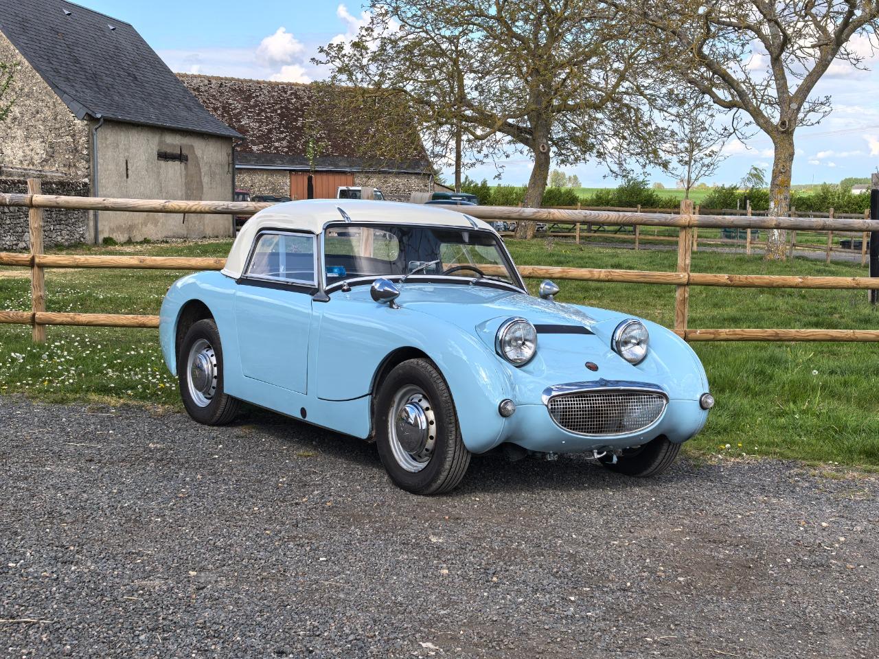 AUSTIN HEALEY Sprite FROGEYE - 1960 LesAnciennes.com