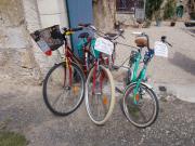 image_7-Vélo lejeune vtc restaure completement mixte
