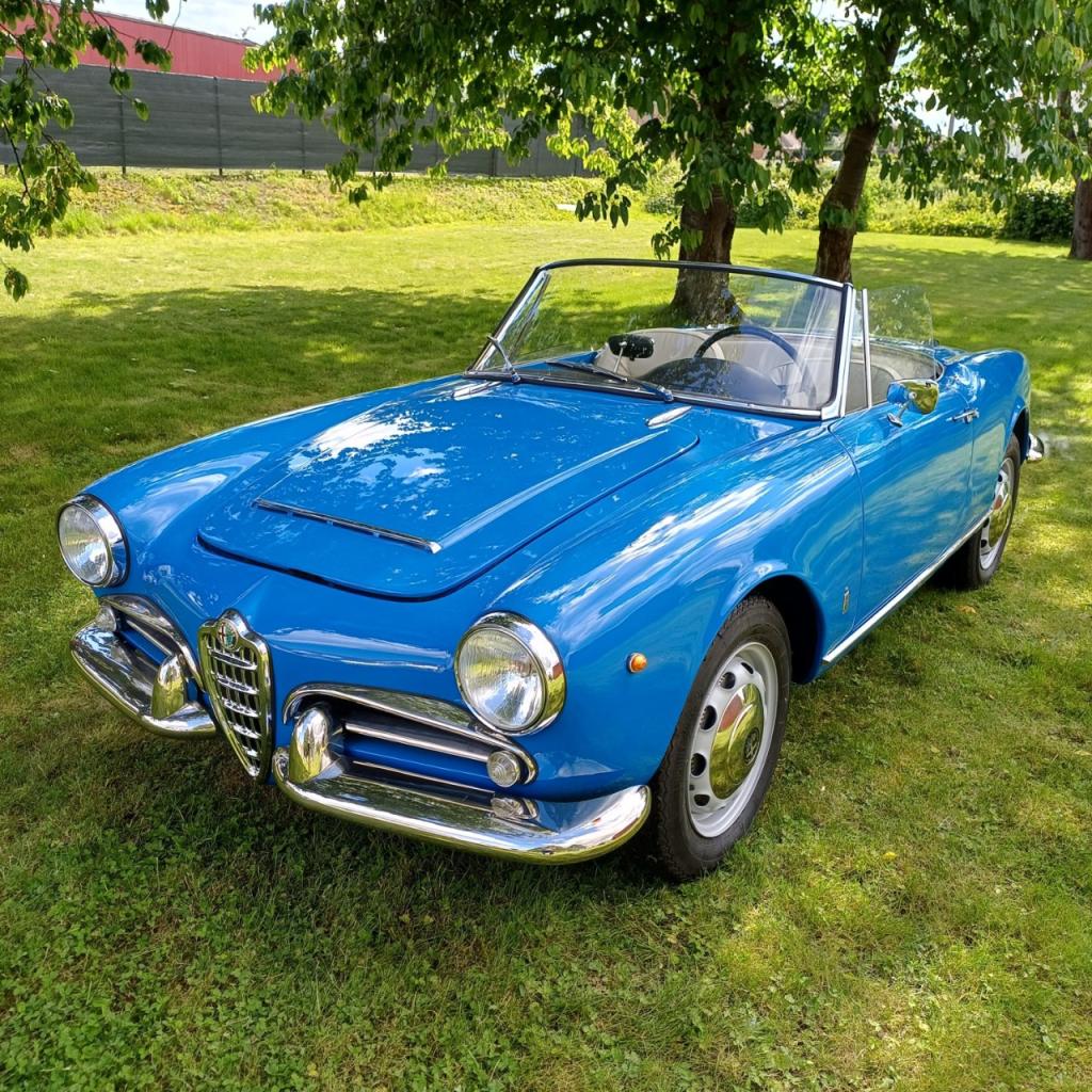 ALFA ROMEO Giulia 1600 Spider - 1962 LesAnciennes.com