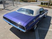 image_112-DODGE Challenger 440 six pack R/T - 1971