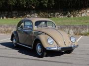 image_6-VOLKSWAGEN Coccinelle 11 Sedan Oval - 1954