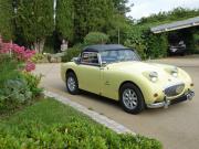 image_17-AUSTIN HEALEY Sprite Mk1 - Frogeye - 1959