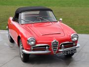 image_13-ALFA ROMEO Giulia Spider 1600 Veloce - 1965