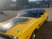 image_3-DODGE Challenger Rallye Pack - 1974
