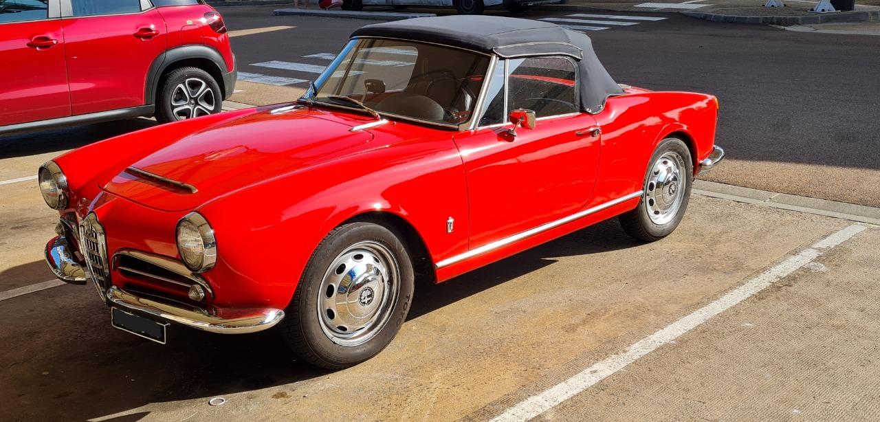 ALFA ROMEO giulia spider veloce - 1965 LesAnciennes.com