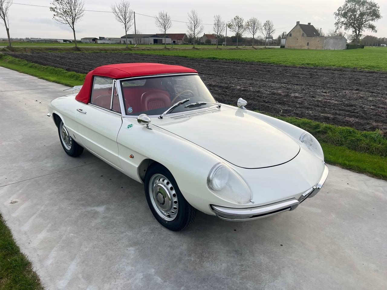 1967 Alfa Romeo Duetto Spider 1600 LesAnciennes.com