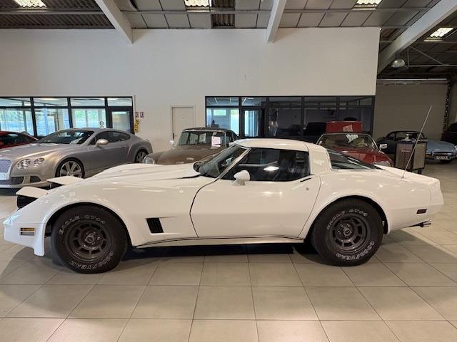 CHEVROLET Corvette C3 - 1981 LesAnciennes.com
