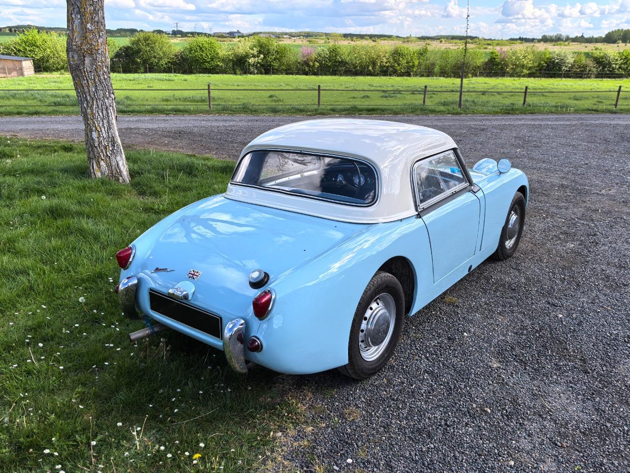 AUSTIN HEALEY Sprite FROGEYE - 1960 LesAnciennes.com