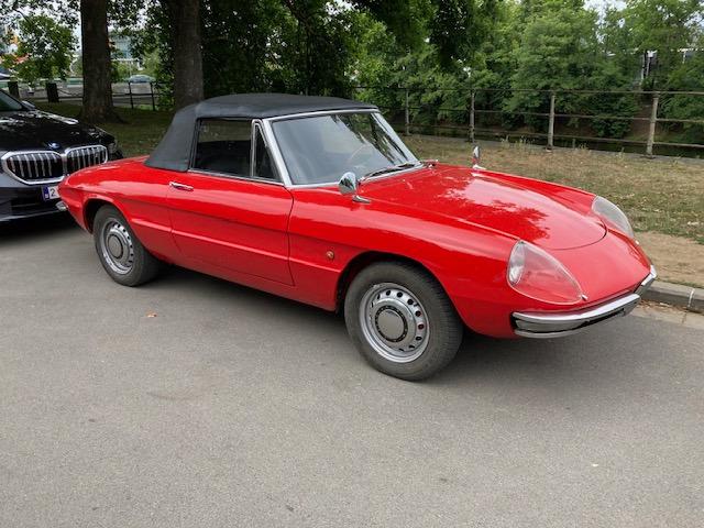 ALFA ROMEO Spider Duetto - 1966 LesAnciennes.com
