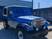 image_2-JEEP CJ 7 Wrangler 2.4d 66 cv - 1983