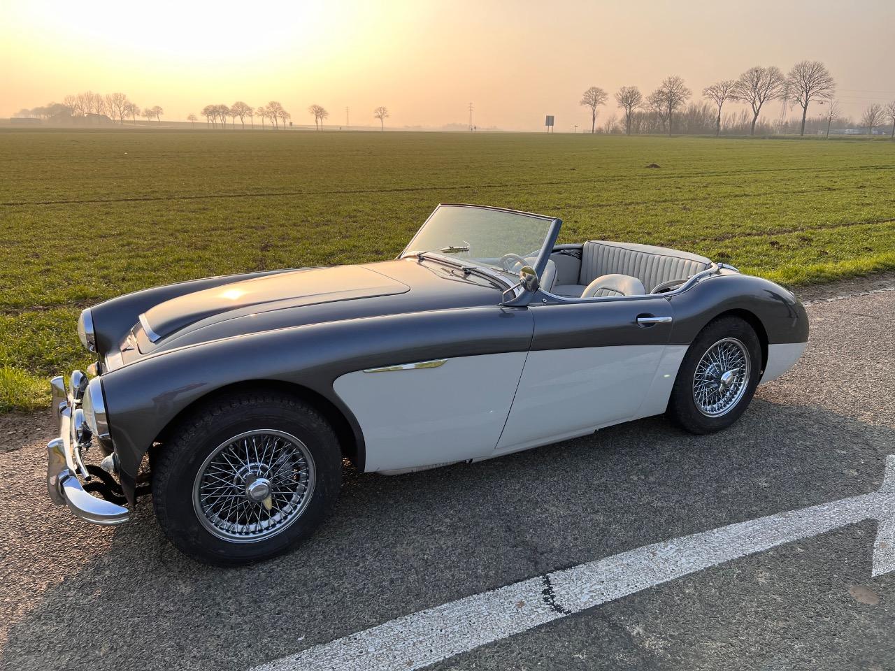 AUSTIN HEALEY 3000 BT7 tricarbu - 1962 LesAnciennes.com