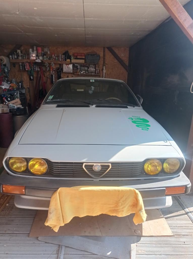 ALFA ROMEO GTV - 1982 LesAnciennes.com