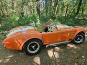image_2-AC Cobra Pilngrim. Échange re - 2004