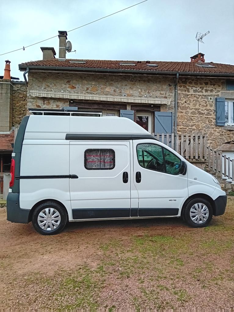 2011 Renault Trafic dci 115 LesAnciennes.com