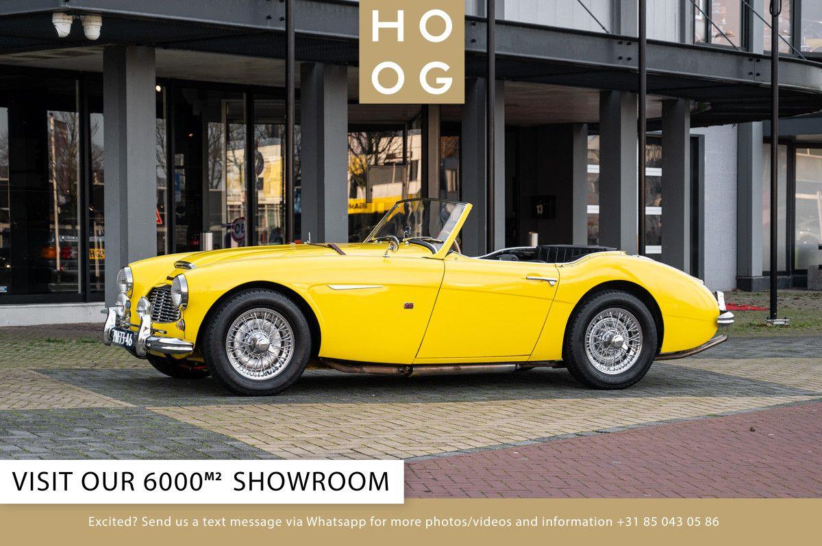 1957 Austin Healey 100 6 LesAnciennes.com