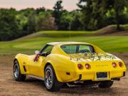 image_1-CHEVROLET Corvette C3 Stingray - 1975