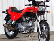 image_0-DUCATI 350 XL Pantah Pantah - 1983